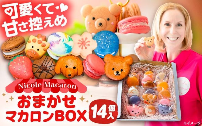 おまかせ マカロン ボックス 14個入 マカロン 焼菓子 スイーツ 愛西市 / ニコールマカロン[AEDA002]