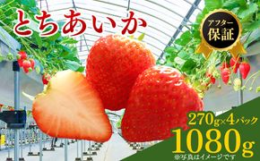 【先行予約】いちご市 鹿沼の美味しい「い」「ち」「ご」とちあいか 1箱4パック入り（1パック270g×4）（2月発送） ｜ イチゴ フルーツ 果物 甘い うまい 日本一 品質 ビタミンC かぬま ※沖縄・離島への配送不可 ※2026年2月上旬～2月下旬頃に順次発送予定