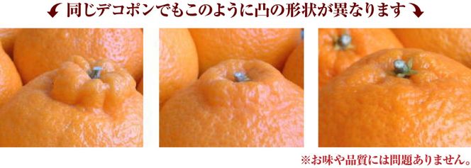 デコ不知火(デコポンと同品種) 約2.8kg サイズおまかせ ※2027年2月上旬～2027年4月上旬頃に順次発送予定(お届け日指定不可) / 不知火 しらぬい デコポン デコ不知火 果物 フルーツ 柑橘 蜜柑 【kztb421C】