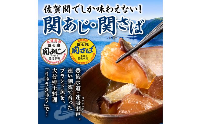 【E19002】 関あじ・関さばりゅうきゅうパック