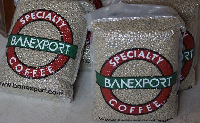 【メール便】 スペシャルティ コーヒー 2種の飲み比べセット（200g×2種）【豆or粉】 飲料類 飲み物 フルーツ感 ビター チョコレートのよう コーヒー飲み比べ 