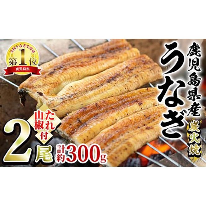 【0174320a】東串良町のうなぎ炭火白焼(無頭)(2尾・計約300g・タレ、山椒付) うなぎ 高級 ウナギ 鰻 国産 白焼き 鹿児島 ふるさと 人気【アクアおおすみ】