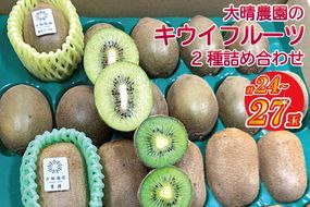 【先行予約】【11月発送開始】東京ゴールドと香緑2種詰め合わせ24～27玉入り 大晴農園のキウイフルーツ【埼玉県 春日部市 国産 フルーツ 果物 産地直送 贈答用 お取り寄せ 家庭用 ギフト 朝食 デザート】（BY005）