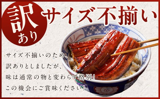 kgp0037-1d 【土用の丑の日までにお届け】国産うなぎ ハーフカット 合計200g【特製タレ付 蒲焼 訳あり 鰻 ウナギ 無頭 炭火焼き 備長炭 手焼き レンジ 温めるだけ 簡単調理】