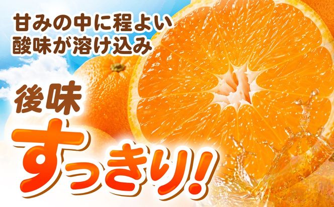 【11月末〜発送】温州みかん 10kg （S〜2L） / みかん ミカン 蜜柑 フルーツ 果物 旬 先行予約 柑橘 産地直送 家庭用 国産 / 南島原市 / 株式会社マルハチ[SFG005]