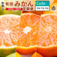 家庭用 柑橘定期便SS（10～12月）全3回【みかん定期便お試し版】 ［IKE299］ 303446_BB90208