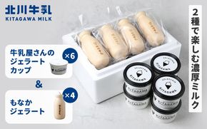 牛乳屋さんのジェラート 2種10個セット kggn0002