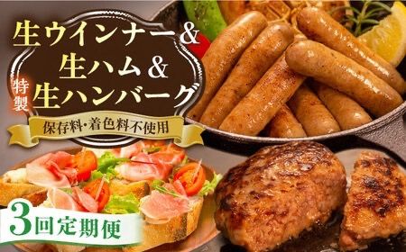 [全3回定期便]特製 生ハンバーグ 生ハム 生ウインナー 3種 セット 糸島市 / 志摩スモークハウス 肉 加工品 [AOA029] セット 生ハム ウインナー ハンバーグ ウィンナー ギフト
