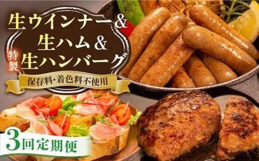 【全3回定期便】特製 生ハンバーグ 生ハム 生ウインナー 3種 セット 糸島市 / 志摩スモークハウス 肉 加工品 [AOA029]