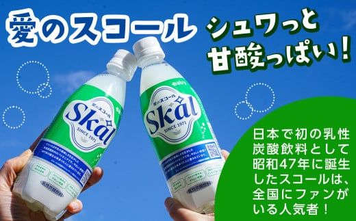 「愛のスコール」500ml×24本_11-2305_(都城市) 宮崎のご当地ドリンク 乳性炭酸飲料 炭酸飲料 乳飲料 デーリィ 南日本酪農