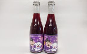 【数量限定】聖徳太子御遠忌特別スパークリングワイン375ml　2本セット お酒 シャンパン 