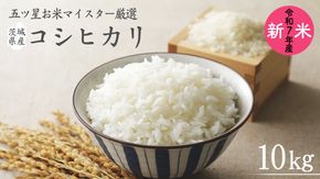 《 令和7年産 》 茨城県産 コシヒカリ 10kg ( 5kg × 2袋 ) 期間限定 こしひかり 米 コメ こめ 五ツ星 高品質 白米 精米 時短 単一米 [AC040us]