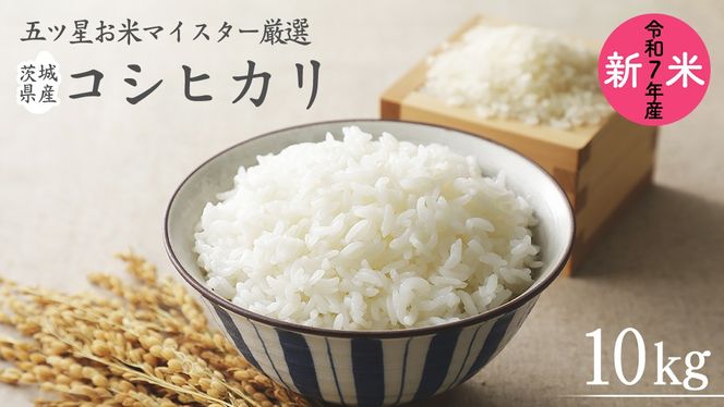 《 令和7年産 》 茨城県産 コシヒカリ 10kg ( 5kg × 2袋 ) 期間限定 こしひかり 米 コメ こめ 五ツ星 高品質 白米 精米 時短 単一米 [AC040us]
