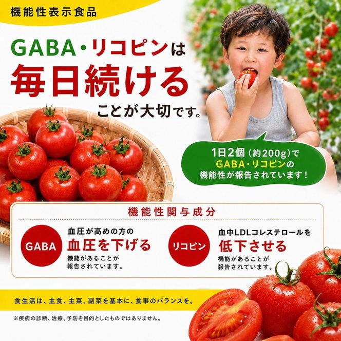 機能性表示食品 Hapitoma ハピトマ 糖度8（1kg）【配送不可：北海道・沖縄・離島】健康 ヘルシー GABA リコピン 人気 厳選 袋井市 野菜 トマト ミニトマト とまと 