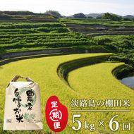 【定期便】淡路島の棚田米　5kg×6回（毎月発送）白米