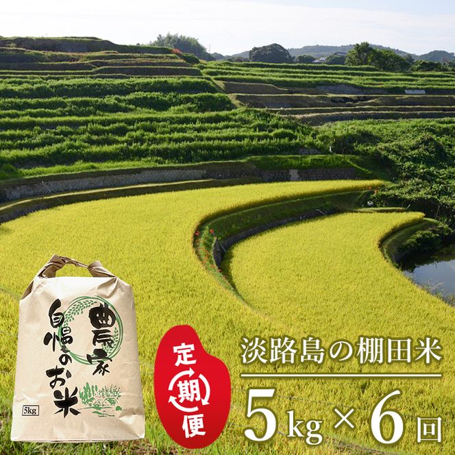 【定期便】淡路島の棚田米　5kg×6回（毎月発送）白米