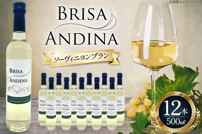 ワイン 白 ブリサ・アンディーナ ソーヴィニヨンブラン 500ml 12本 セット [カサ・ピノ・ジャパン 山梨県 韮崎市 20745345] ワインセット 山梨 酒 お酒 白ワイン アルコール ぶどう 果実酒