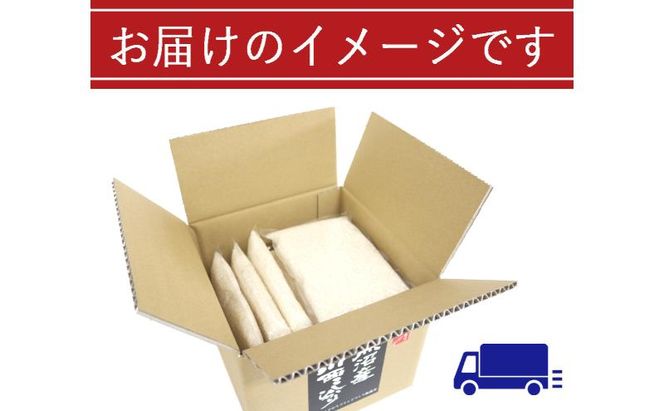 令和8年産　先行予約【定期便／全12回】無洗米 魚沼産コシヒカリ2合×10袋 〈令和8年10月下旬～発送予定〉