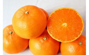 とろける食感！ジューシー柑橘　せとか　約3kg【予約】※2027年2月下旬頃〜2027年3月中旬頃 発送(お届け日指定不可)【uot506A】