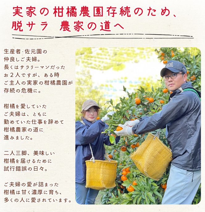 DI6032n_和歌山県有田産 八朔 3kg 秀品 (M～2Lサイズおまかせ)