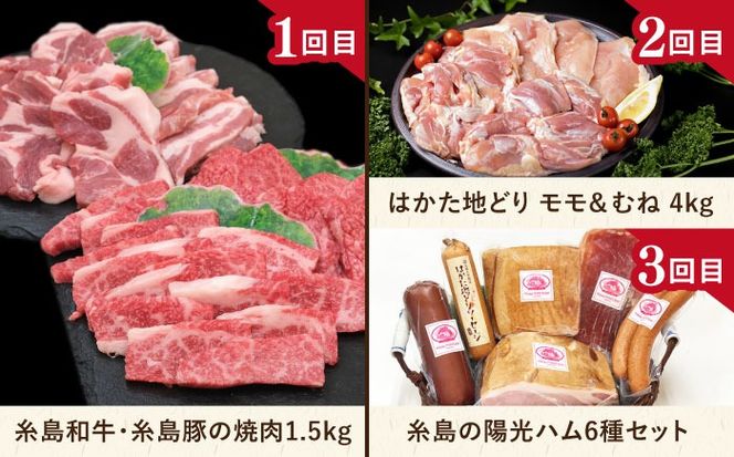 【全12回定期便】肉のお楽しみ定期便 食べ比べ セット （ 博多和牛 糸島和牛 糸島豚 はかた地どり イノシシ ウインナー シャトーブリアン ステーキ ハム ソーセージ ハンバーグ ） [AAH009] 地鶏 モモ ムネ ハンバーグ ジビエ 肩ロース 焼肉 水炊き お肉 牛肉 豚肉