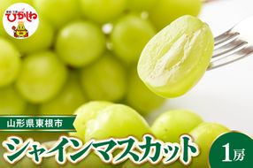 【令和8年産先行受付】 東根市産シャインマスカット 約700g(1房入) ベジフルひがしね 山形県 東根市 hi104-001