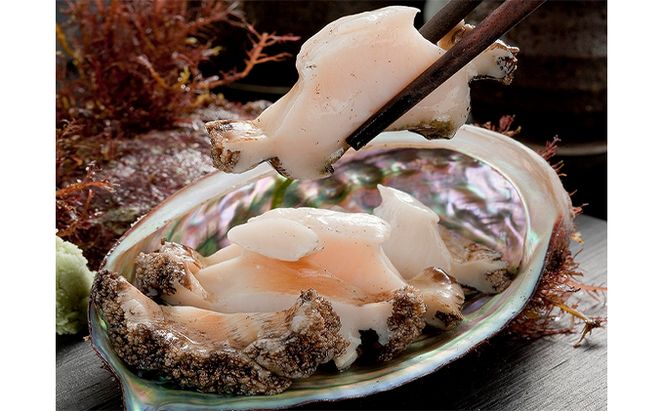 北海道 礼文産 産地直送 鮮度抜群 天然 凍結 あわび 500g [ 魚介類 アワビ 鮑 ] 