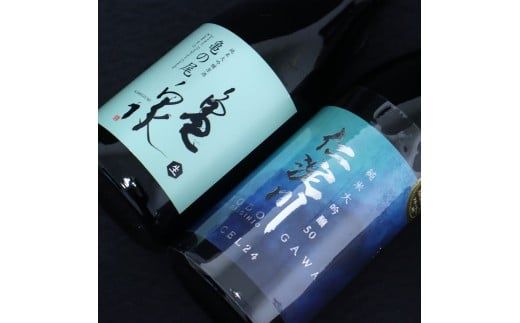 仁淀川純米大吟醸 CEL-24 亀泉純米大吟醸 亀の尾 2本セット 高知県 土佐市 こうち 返礼品
