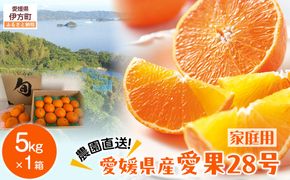 【先行予約】【数量限定】＼農園直送／愛媛県産せとか5kg×1箱（家庭用）（2026年2月下旬より順次発送） IKTV008