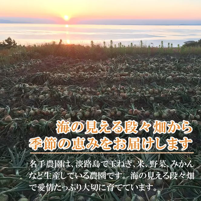 名手農園の淡路島産玉ねぎスープ 6g×100袋 スープ