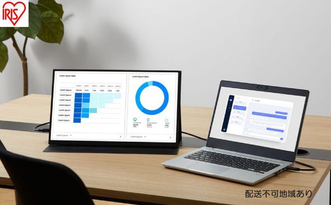 ポータブルモニター 18.5inch DP-EF184S-B ブラック アイリスオーヤマ モバイルモニター pcモニター 18.5インチ ゲーミングモニター USB-C minihdmi カバー付き 軽量 薄型 ノングレア