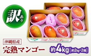 【2026年発送】 訳あり 完熟マンゴー 約4kg (約2kg×2箱) マンゴー 沖縄 果物 フルーツ ギフト 沖縄市 / ちゃんぷる〜市場[BCAA007]