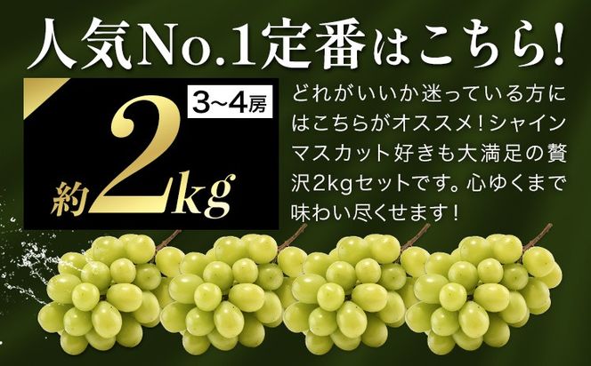 yR|zy2026Noאs\z I VC}XJbg 2kg 3`4[ ͂ t[c ʕ RY H{   2[ VC }XJbg 嗱珬܂ŕs s2026N9{-11{ɏoח\(yj)t ---ofn_cwsmx_ae911_26_19000_2---