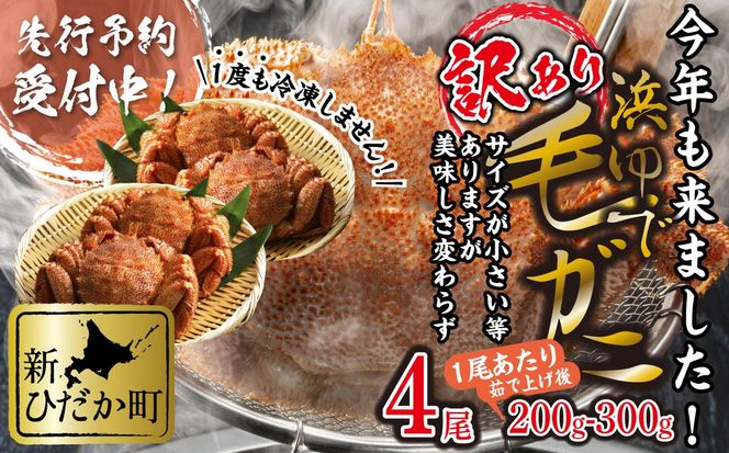 ＜ 2027年2月上旬より発送開始 ＞ 訳あり 北海道産 浜ゆで 毛ガニ 4尾 ( 1尾あたり 200g ～ 300g ) 毛蟹 毛がに かに味噌 カニ味噌 ＜ 予約受付 ＞