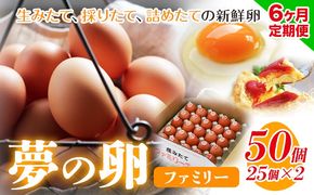 卵 たまご 6ヶ月 定期便 赤玉 夢の卵 ファミリー 50個 計300個《お申込み月翌月から出荷開始》株式会社めぐみ 岡山県 浅口市 送料無料 25個 × 2セット たっぷり 家族 食卓---124_81tei_23_93000_mo6num1_s---