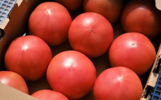 【令和7年度分予約受付】平泉町産 たかはしさんちの完熟トマト 約4kg(M玉サイズ) 【2025年6月下旬～9月下旬頃からの発送】/ トマト とまと 完熟 樹上完熟 野菜 やさい ベジタブル 甘い 濃厚 美味しい リコピン