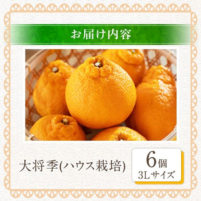 ＜先行予約受付中！2026年1月中旬以降順次発送予定＞数量限定！大将季 (6個・3Lサイズ) 柑橘 フルーツ 果物 国産 みかん 期間限定 不知火 しらぬい シラヌイ ミカン 【株式会社イロドリ】akn069-07