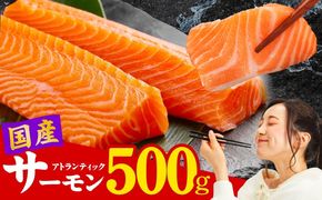 nbj0010 国産アトランティックサーモン 500g ポーション【小分け 真空パック 訳あり サイズ不揃い 刺身 海鮮丼 さーもん 鮭 さけ シャケ しゃけ 冷凍】