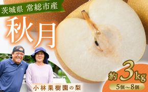 【先行予約】小林果樹園の梨 秋月 5～8玉 約3kg｜あきづき 朝どり みずみずしい 梨 なし ナシ フルーツ 果物 常総市　※2026年9月～発送