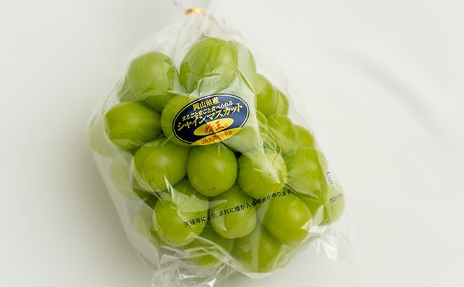 ぶどう 2026年 先行予約 シャイン マスカット 晴王 1房（1房670g以上）化粧箱入り マスカット ブドウ 葡萄  岡山県産 国産 フルーツ 果物 ギフト 果物類 大粒 