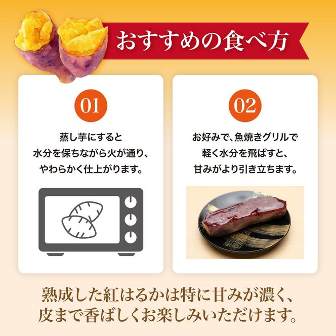 【先行予約】 にかほ市 象潟町 大須郷産「 さつまいも 2ヶ月 熟成 紅はるか 10kg 」【 産地直送 国産 芋 おいも 定番 焼き芋 イモ 野菜 長期熟成 秋田県 にかほ】