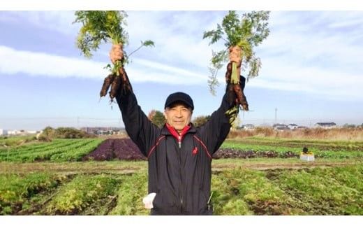 【 定期便 年4回お届け！】四季の 有機野菜 色とりどりセット  野菜 野菜セット 詰め合わせ 有機 無農薬 JAS認定 無化学肥料 おまかせ 野菜スティック レインボーフューチャー [AL001ci]