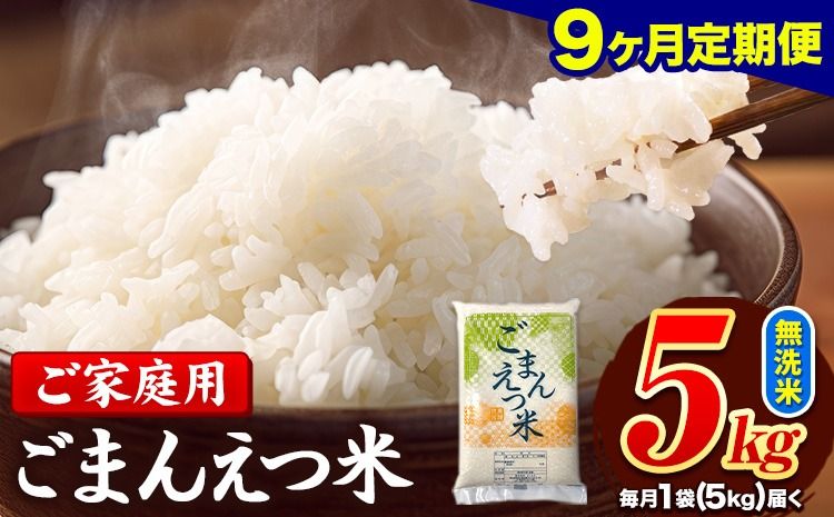 [9ヶ月定期便] 米 無洗米 ごまんえつ米 5kg 5kg×1袋 米 こめ 定期便 家庭用 備蓄 熊本県 長洲町 くまもと ブレンド米 熊本県産 訳あり 常温 配送 [お申込み翌月から出荷]---ng_gmntei_5kg_103500_mo9---