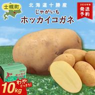 【CF2】北海道 じゃがいも ホッカイコガネ 10kg 北海道産 十勝産 北海こがね 北海コガネ 北海黄金 ジャガイモ 芋 いも ポテト お取り寄せ まとめ買い 送料無料 十勝 士幌町【V06】