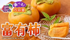＼ 選べる内容量 ／ 富有柿 Lまたは2L 約3kg or 2L以上 約10kg or 約10kg【10月より発送開始】（茨城県共通返礼品 [柿]：大子町産） | 柿  かき 旬 お取り寄せ フルーツ 甘い 秋の味覚