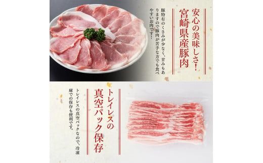 【6ヶ月定期便】まるみ豚 ロース・バラ スライスセット 計2kg 【 宮崎県産 豚 ブランドポーク こま切れ まるみ豚 定期便 】[D05309t6]