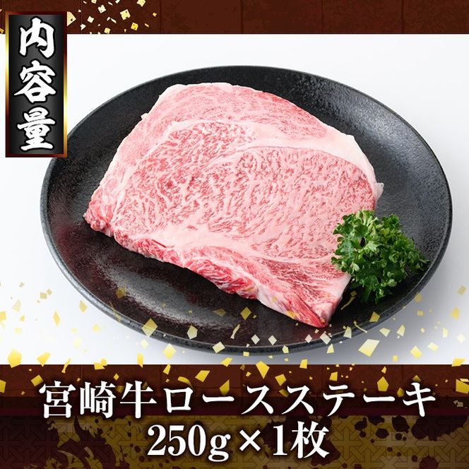 宮崎牛ロースステーキ(250g) お肉 牛肉 黒毛和牛 ブランド和牛 冷凍 国産 焼肉 BBQ ステーキ 【R-88】【ミヤチク】