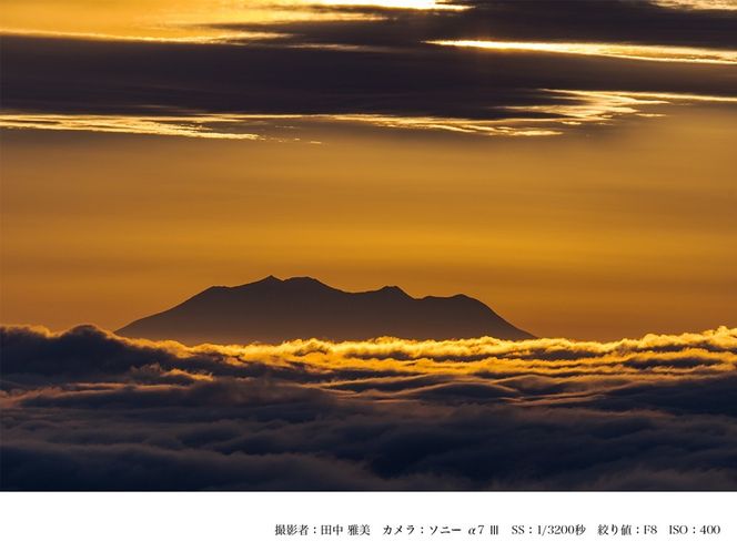 SIGMA 500mm F5.6 DG DN OS  | Sports【ソニーEマウント】