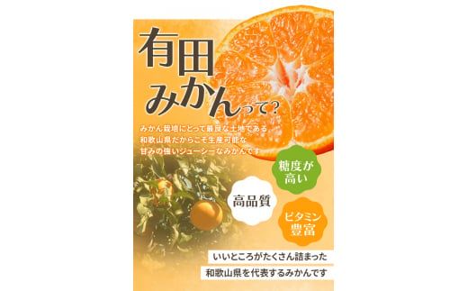  【2026年10月発送予約分】【農家直送】こだわりの有田みかん 約8kg＋250g(傷み補償分)  有機質肥料100%  サイズ混合　【10月発送】/ミカン 蜜柑 柑橘 フルーツ くだもの 果物 温州 有田 【nuk100-10】