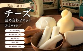 美山牛乳 チーズ 詰め合わせセット |  ストリング モッツァレラ スモーク ゴーダ カチョカバロ セット おつまみ 食べ比べ 乳製品 南丹市